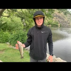 Meet your Posher, Alex